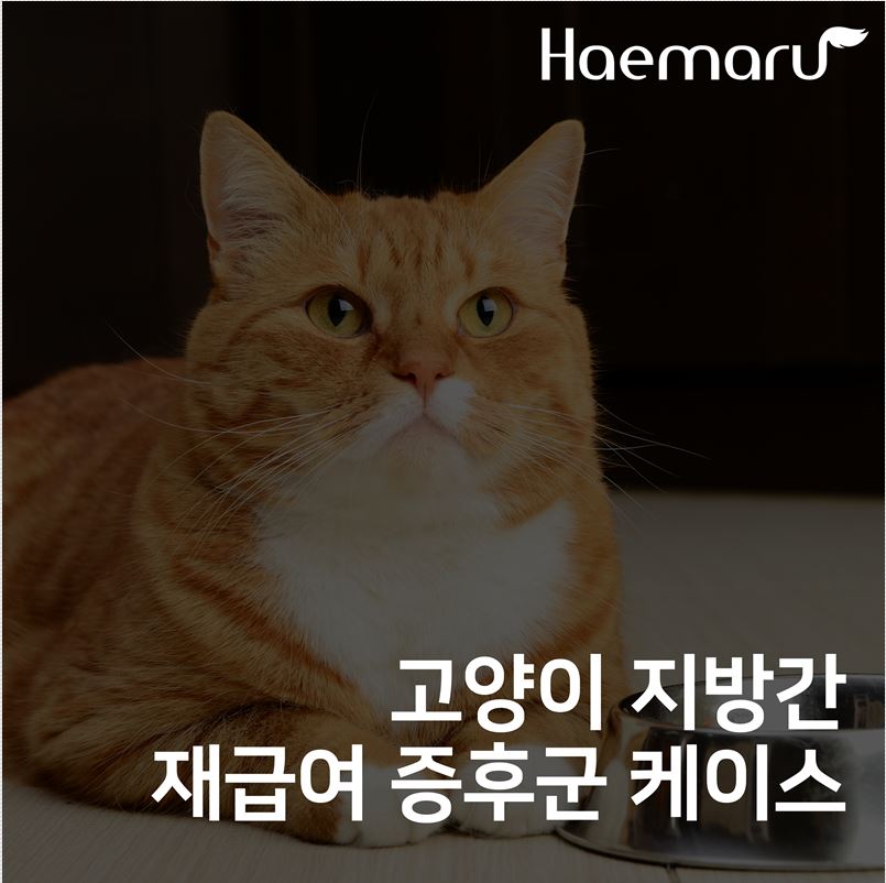 진료케이스 이미지