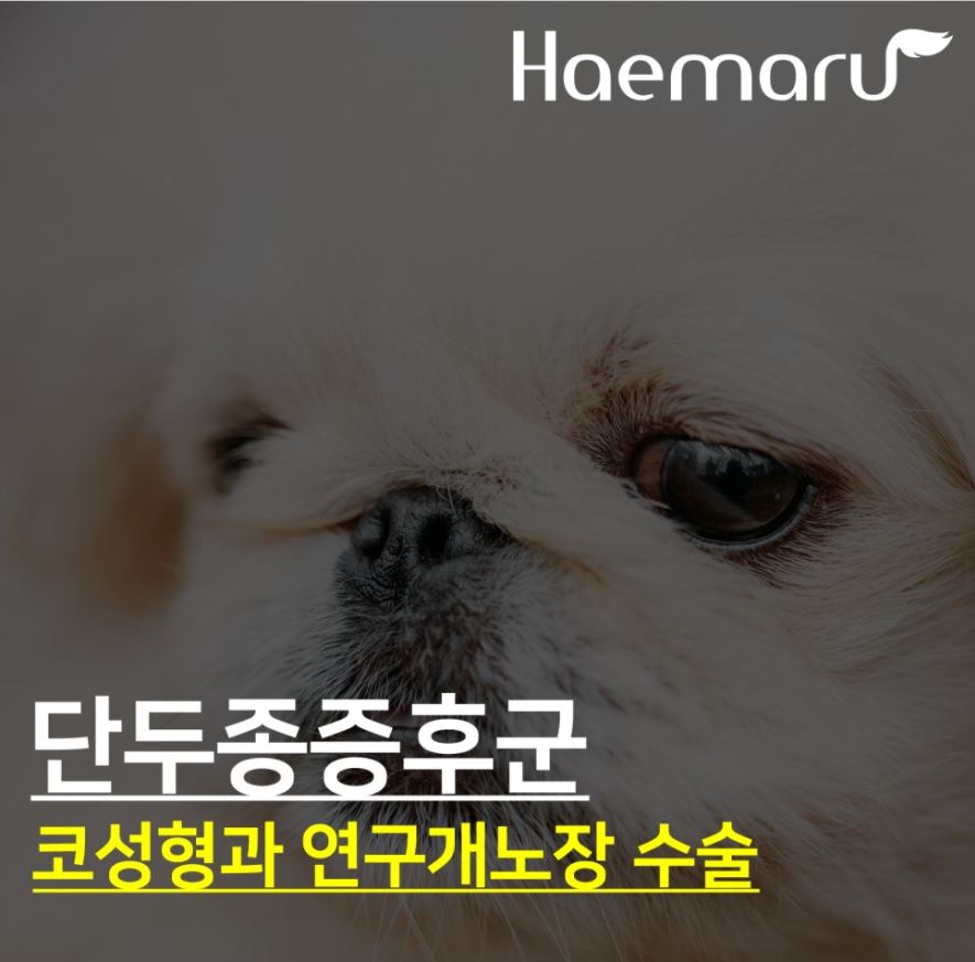 진료케이스 이미지