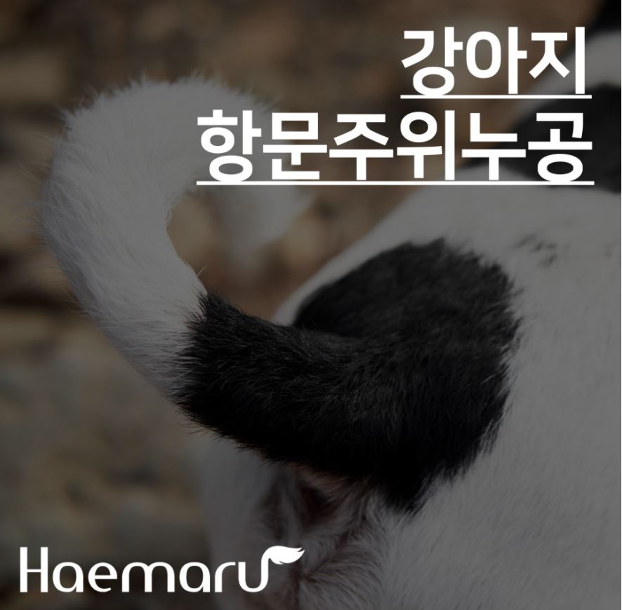 진료케이스 이미지