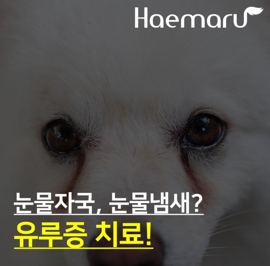 진료케이스 이미지