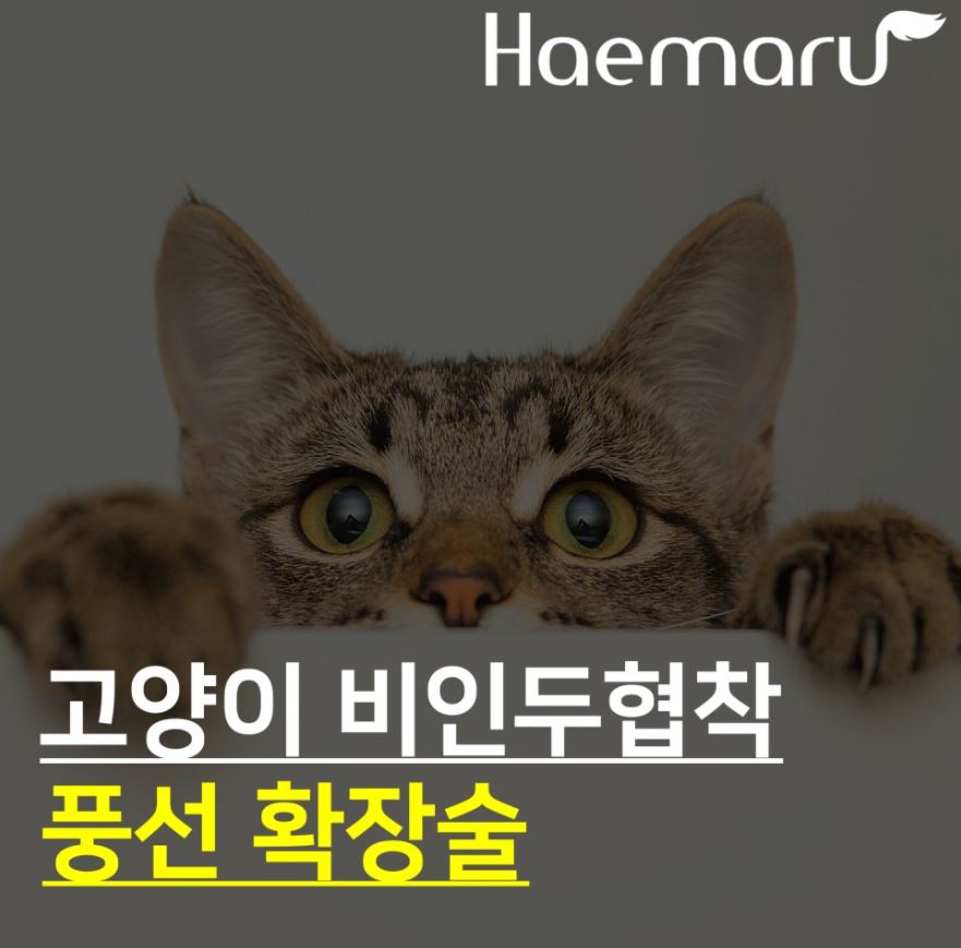 진료케이스 이미지