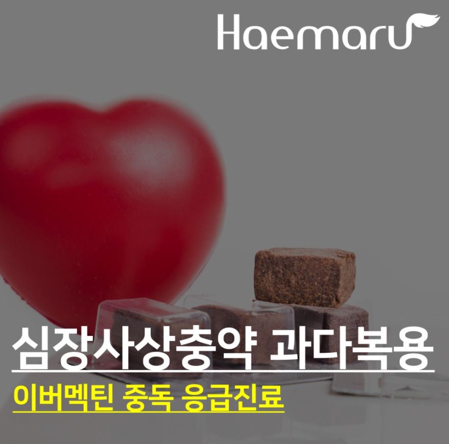 진료케이스 이미지