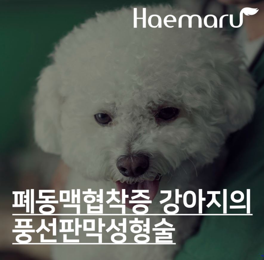 진료케이스 이미지