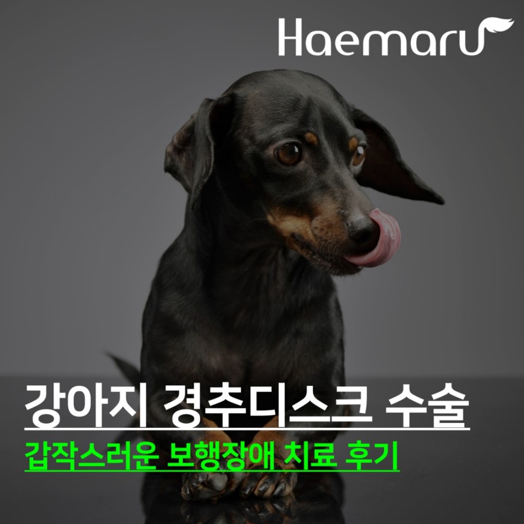 진료케이스 이미지