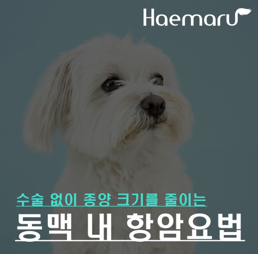 진료케이스 이미지