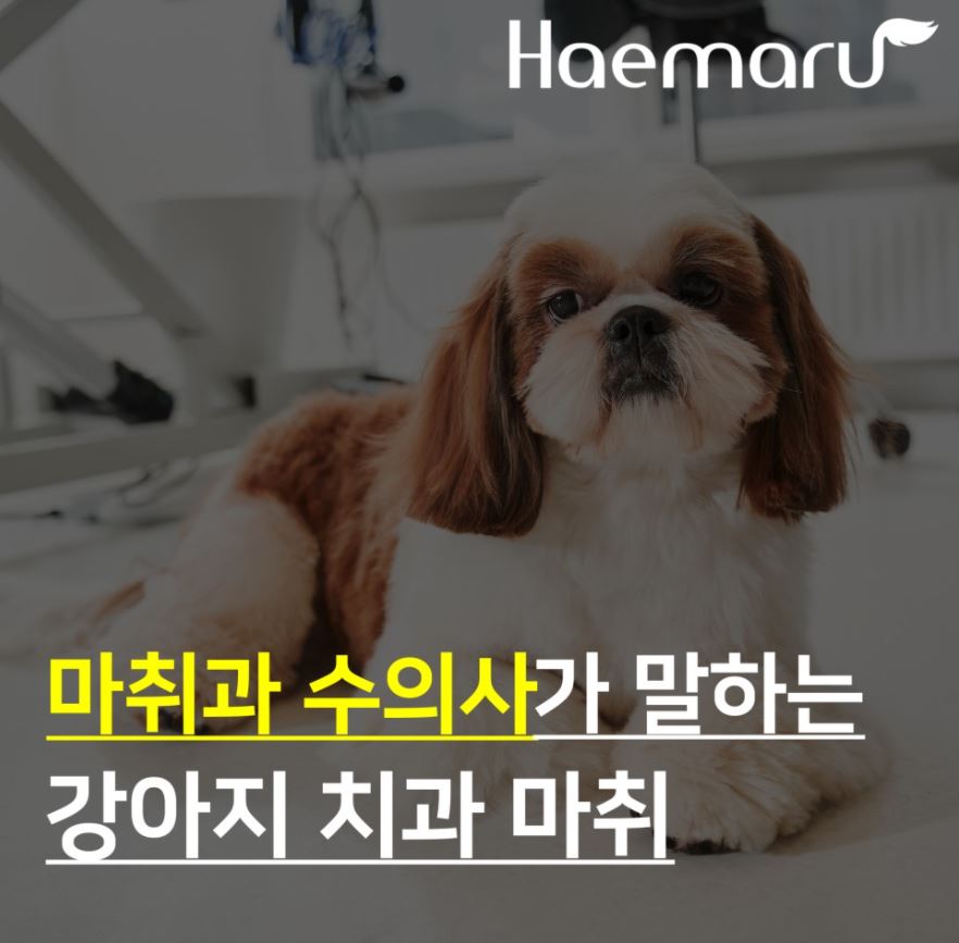 진료케이스 이미지