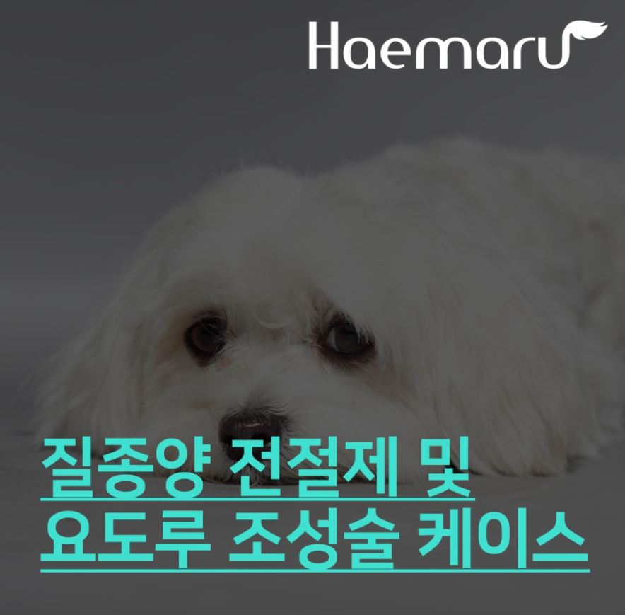 진료케이스 이미지