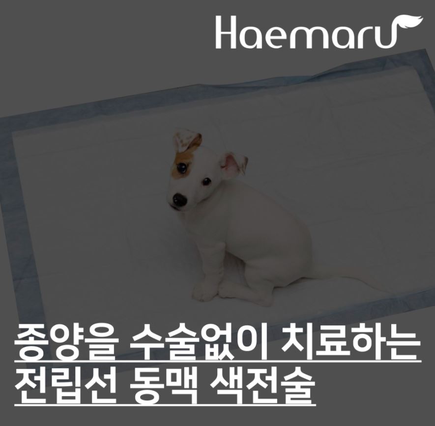 진료케이스 이미지