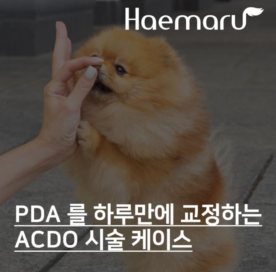 진료케이스 이미지