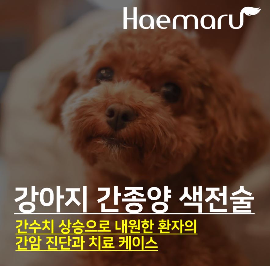 진료케이스 이미지