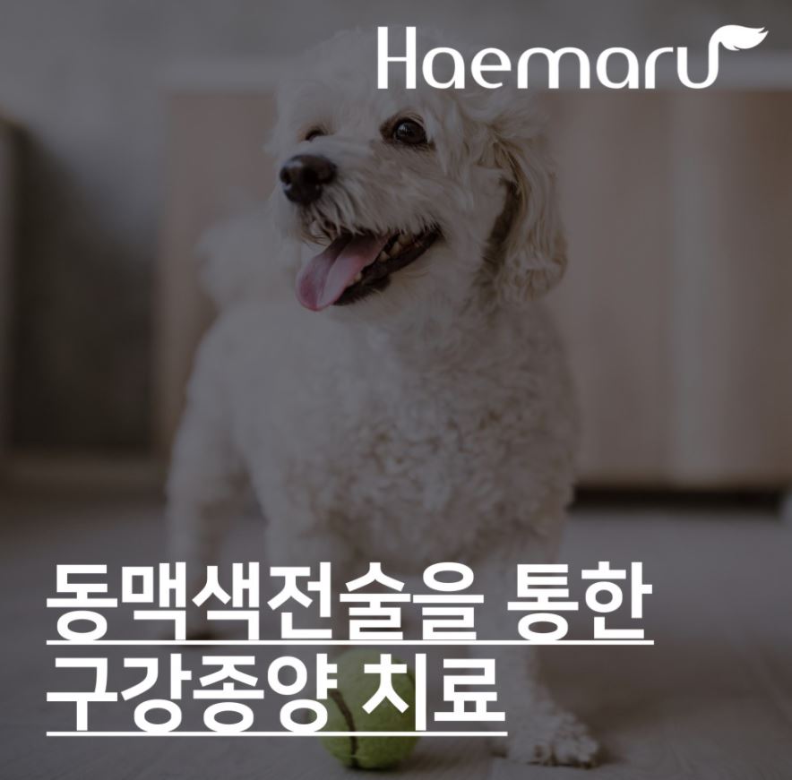 진료케이스 이미지