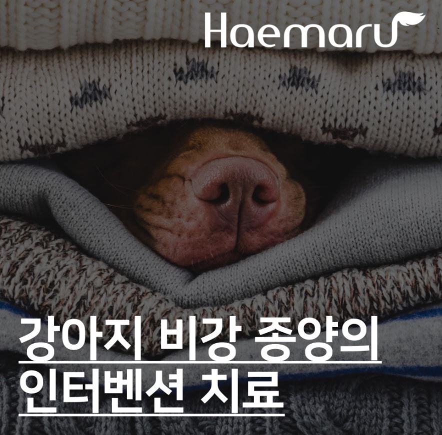 진료케이스 이미지