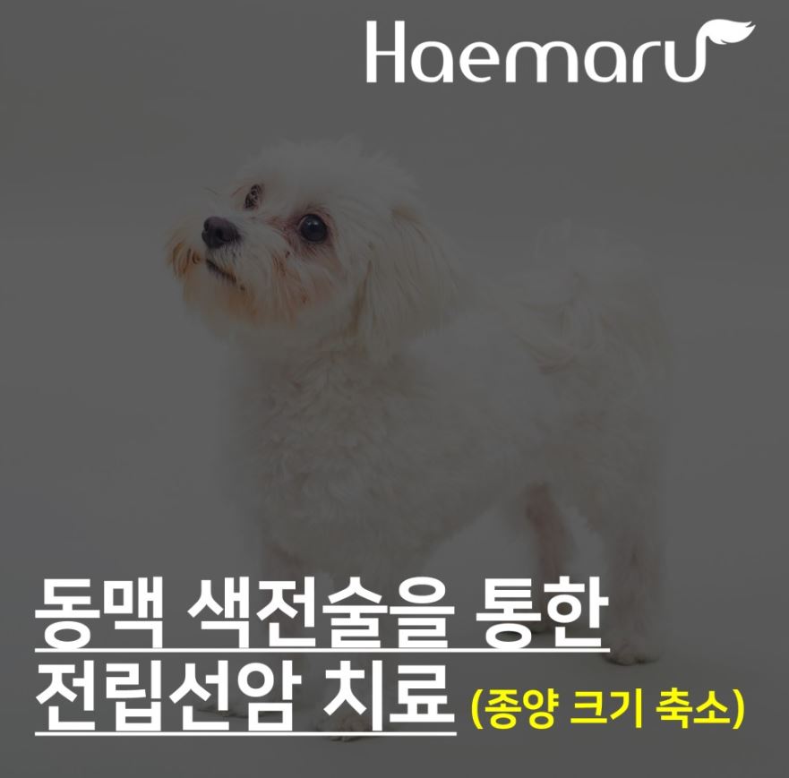 진료케이스 이미지