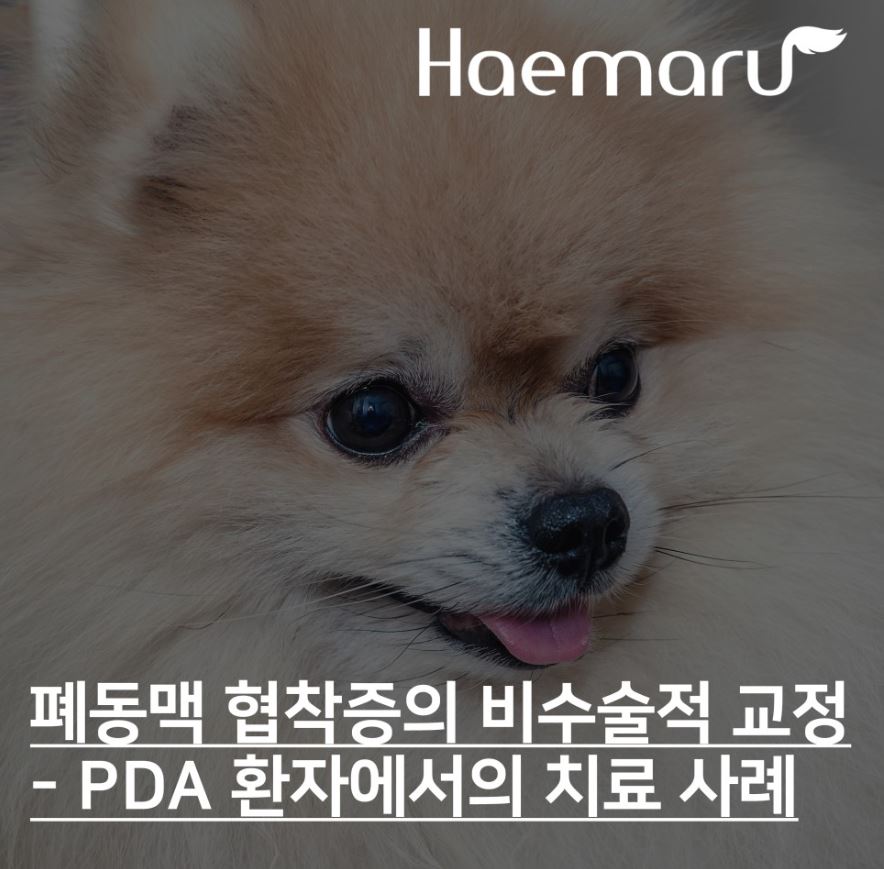 진료케이스 이미지