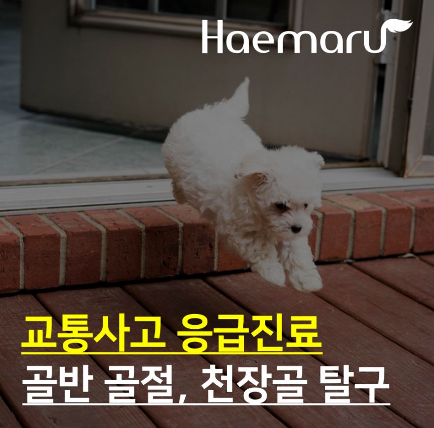 진료케이스 이미지