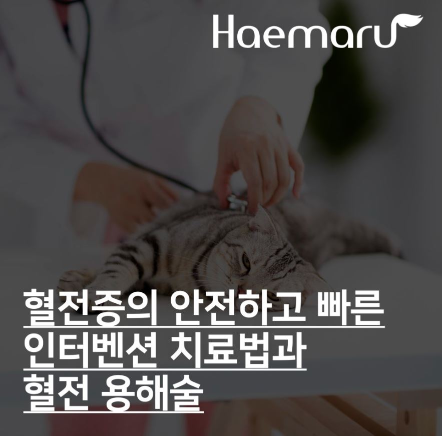 진료케이스 이미지