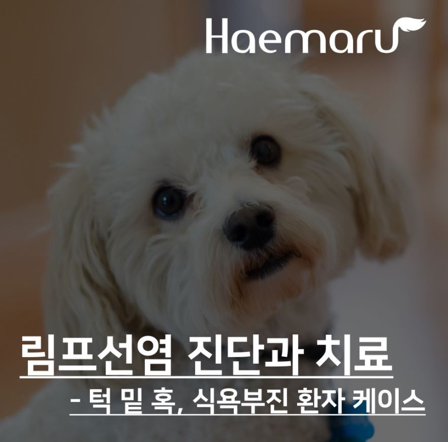 진료케이스 이미지