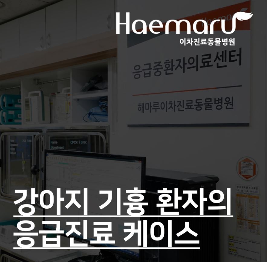 외상 후 호흡곤란 환자의 기흉 입원치료 썸네일