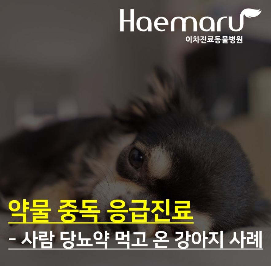 진료케이스 이미지