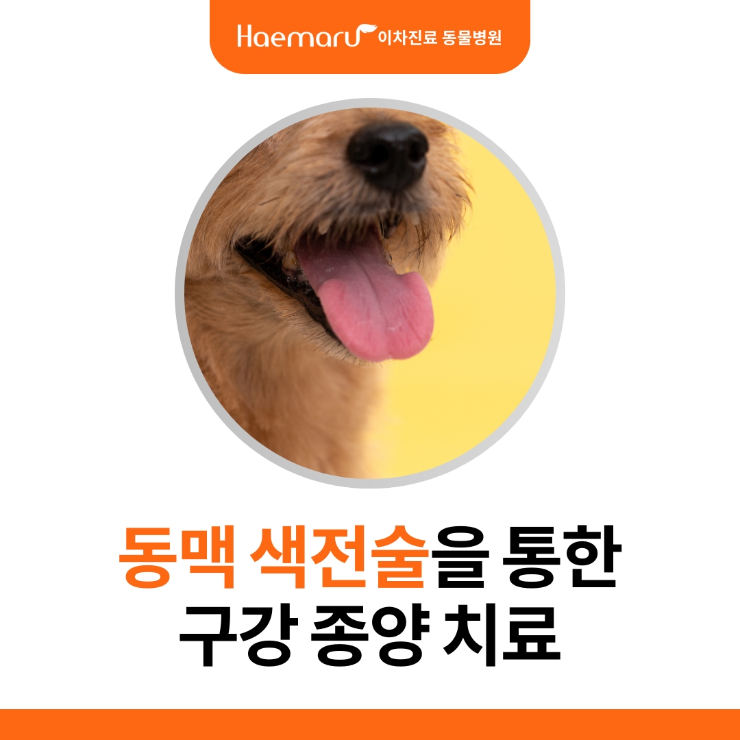 진료케이스 이미지