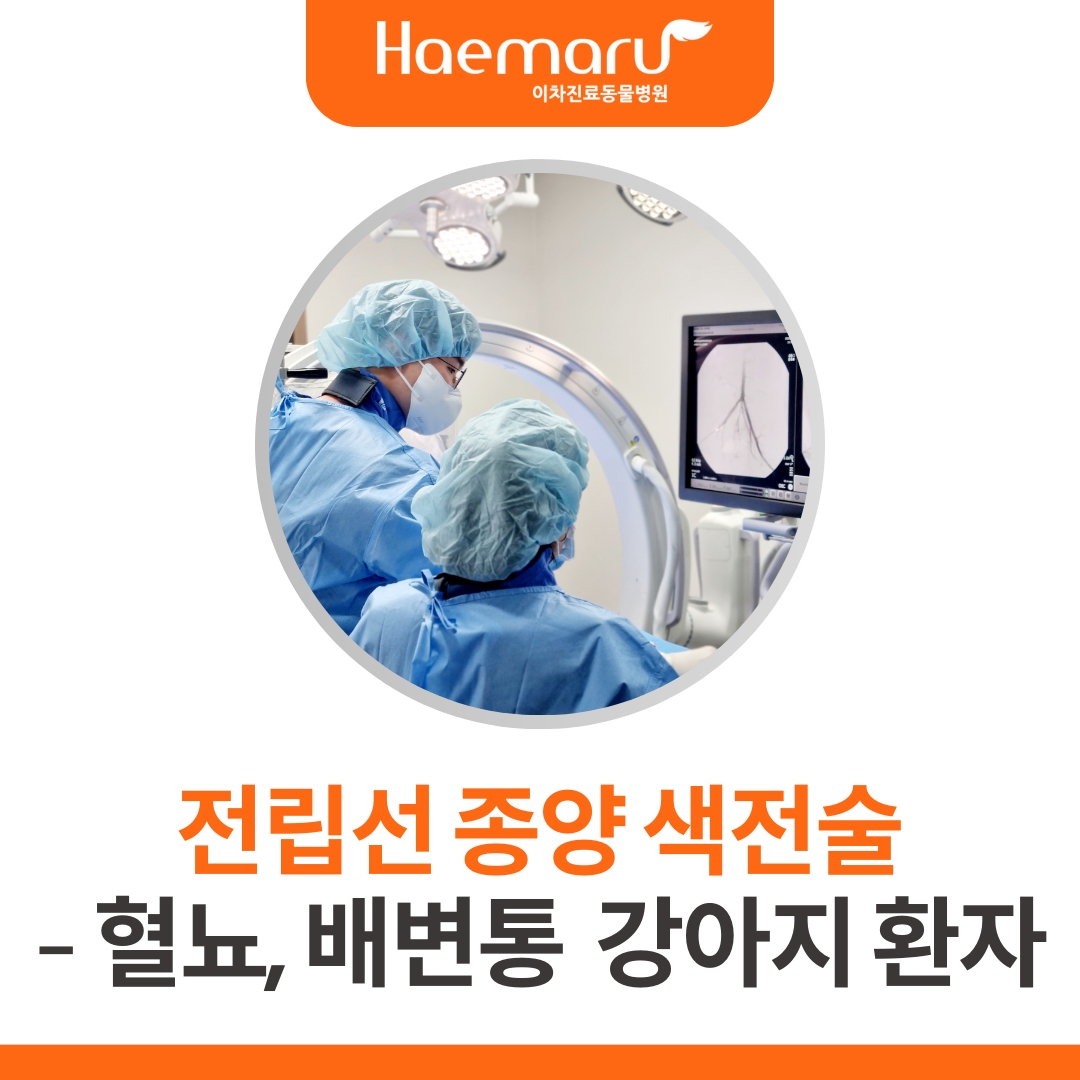 전립선암 종양 색전술 치료 - 혈뇨, 잔뇨 증상 개선 썸네일