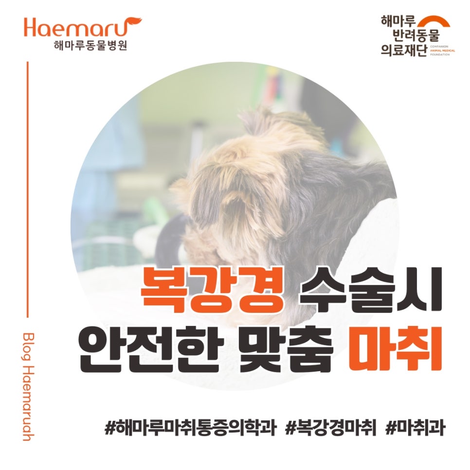진료케이스 이미지