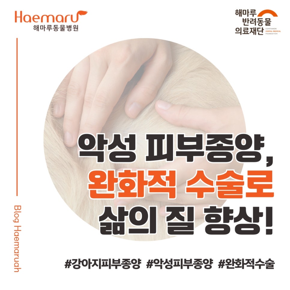 진료케이스 이미지