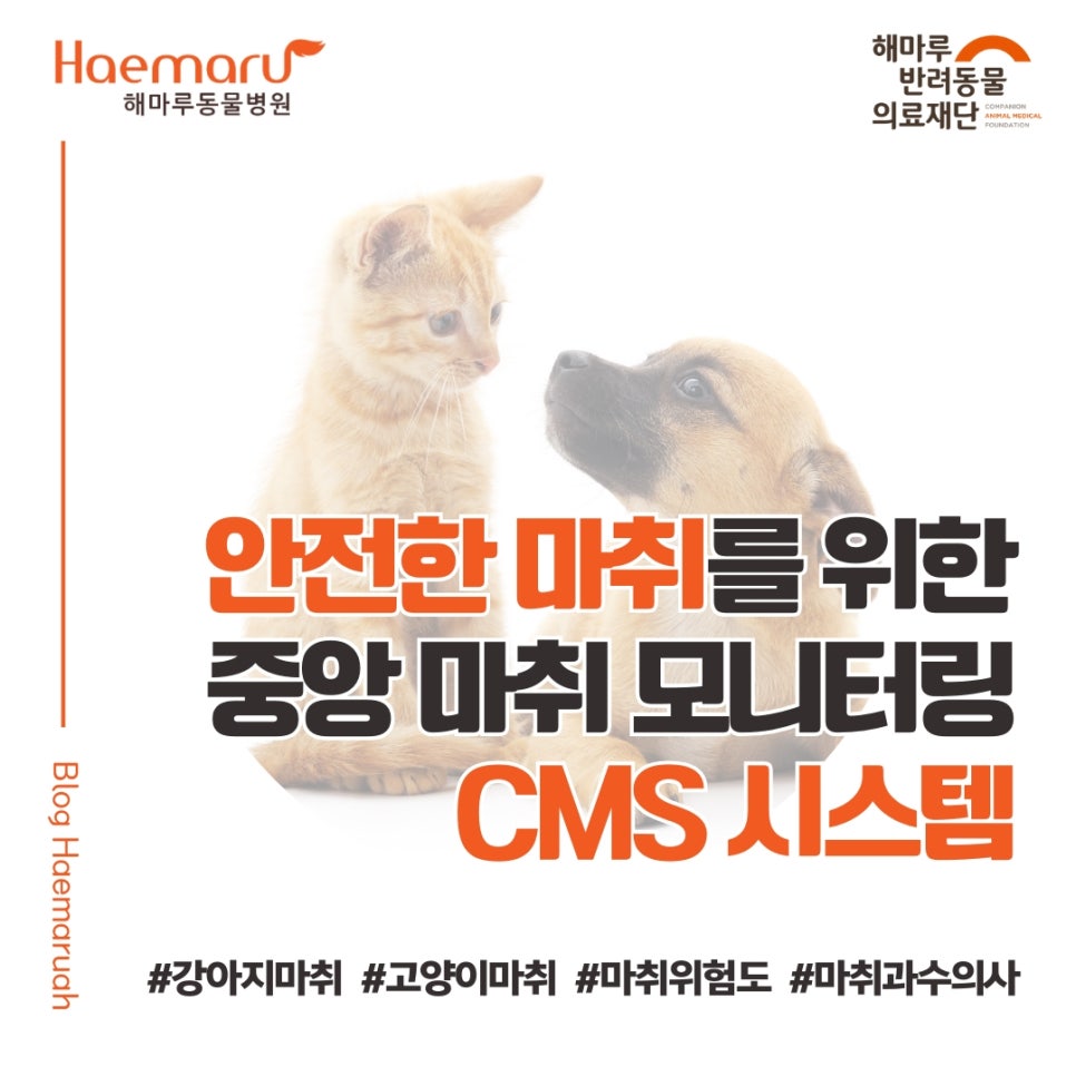 진료케이스 이미지