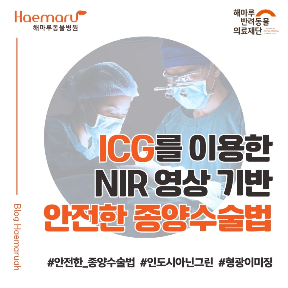 진료케이스 이미지