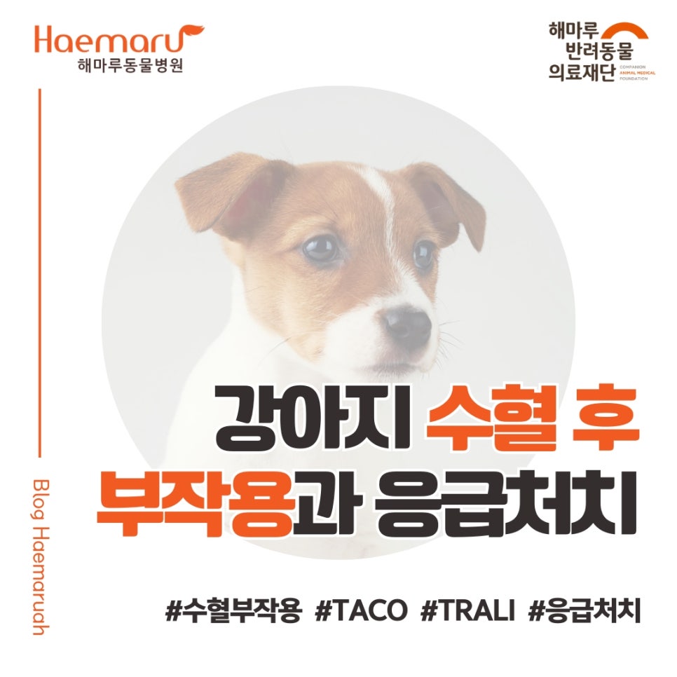 진료케이스 이미지