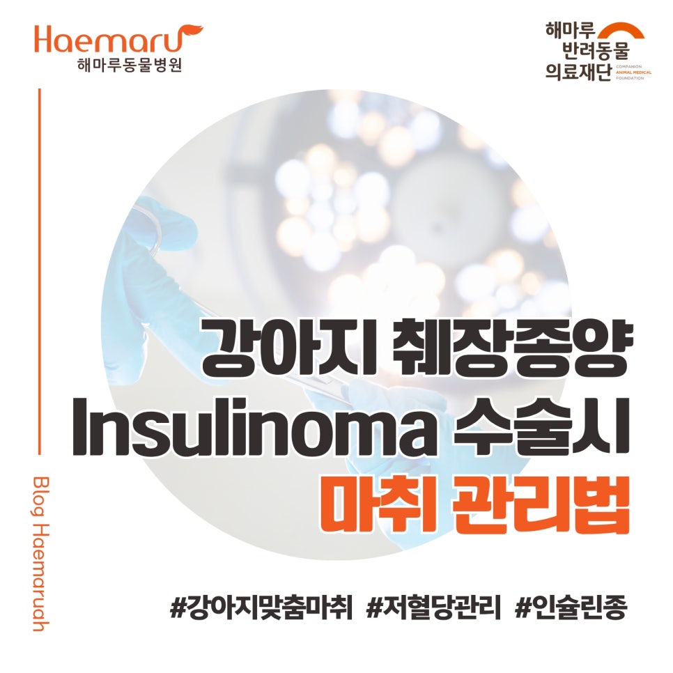 진료케이스 이미지