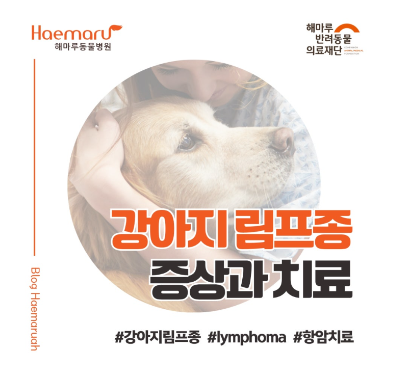 진료케이스 이미지