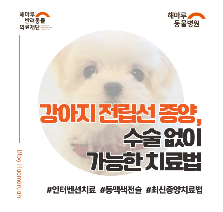 진료케이스 이미지