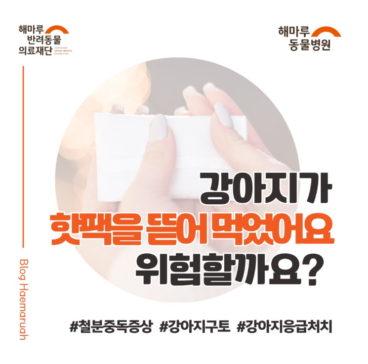 진료케이스 이미지