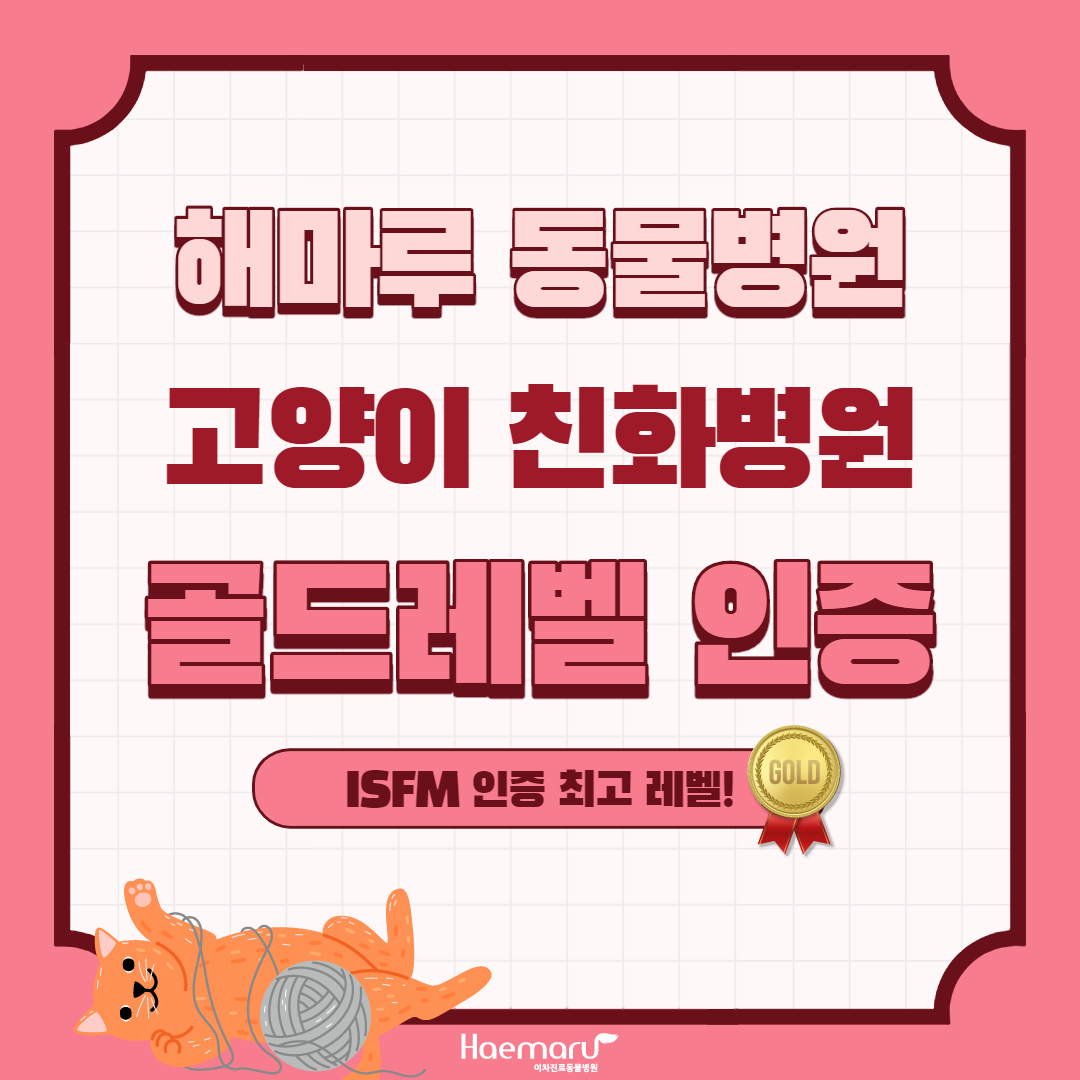 고양이친화병원1.png