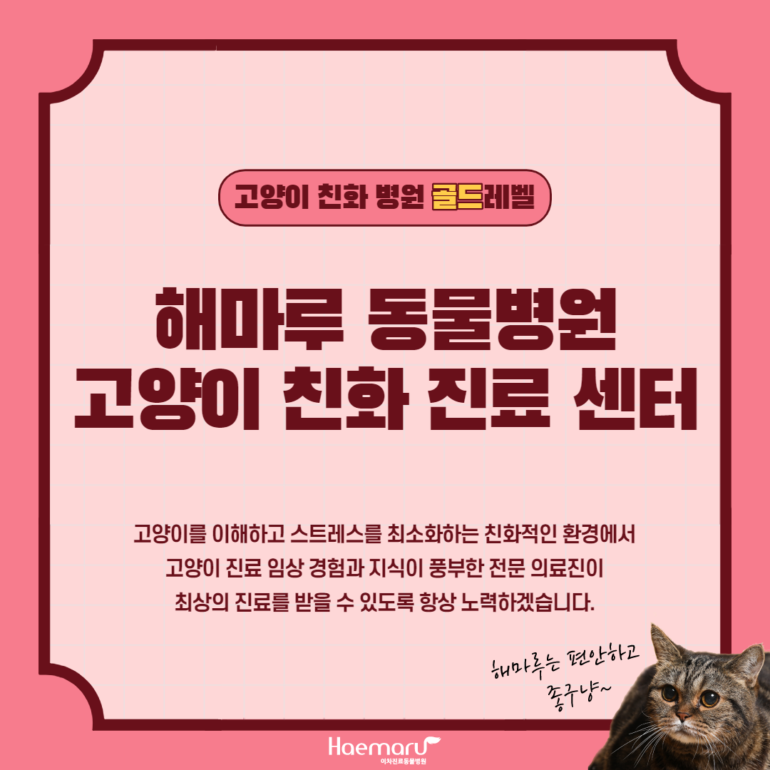 고양이친화병원7.png