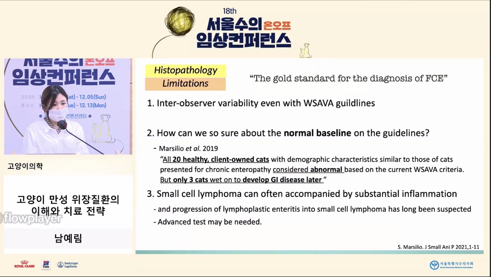 서울 수의 임상 컨퍼런스는 고양이 IBD 진단과 치료 전략.jpg