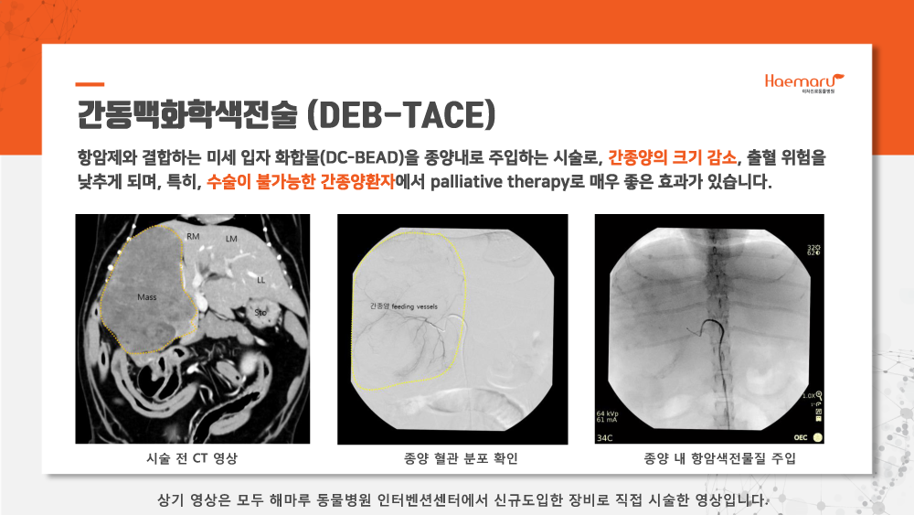 인터벤션센터_업데이트6.png