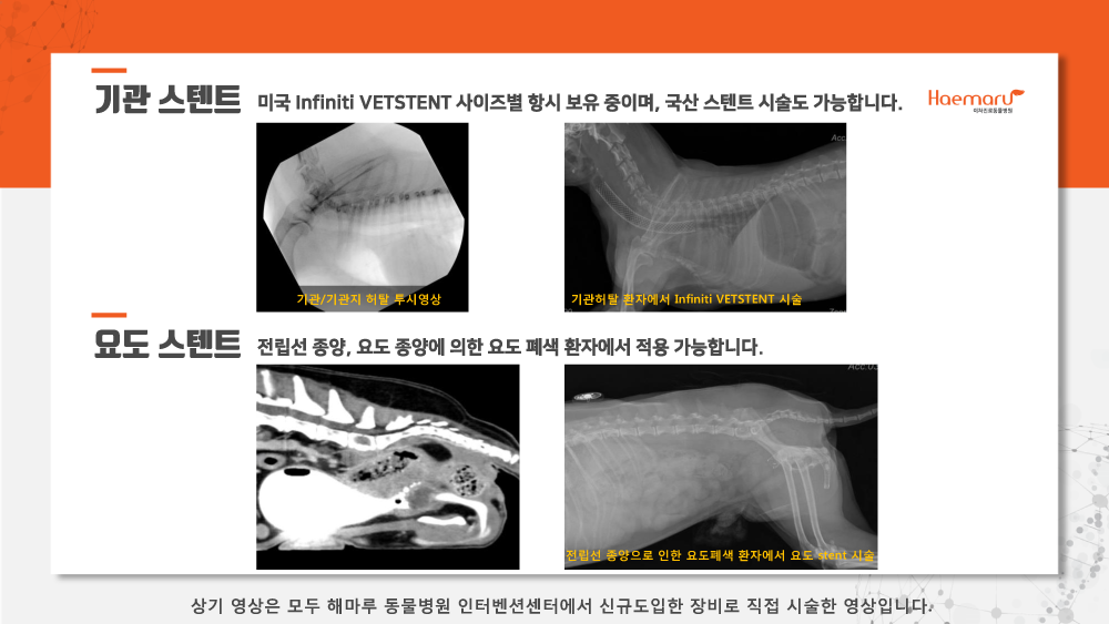 인터벤션센터_업데이트9.png