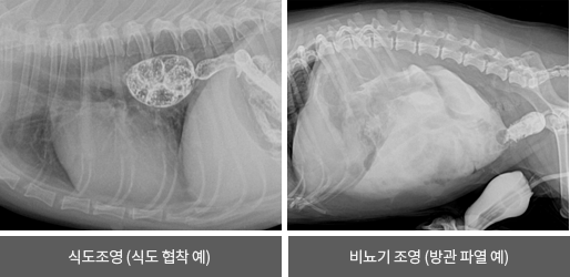 예시이미지